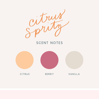 Scent notes with 'Citrus Sprty' branding and color swatches for citrus, berry, and vanilla on a white background.