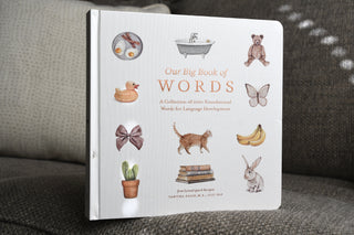 Children's book titled 'Our Big Book of Words' on a textured surface