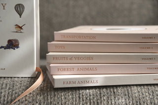 Stack of books titled 'Fruits & Veggies', 'Forest Animals', 'Farm Animals', and others on a textured surface.