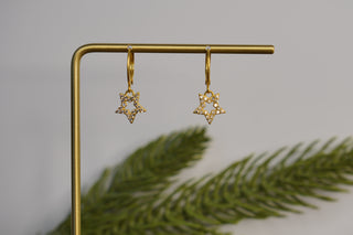 RHNS STAR EARRINGS
