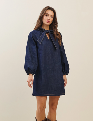 Lena Denim Dress