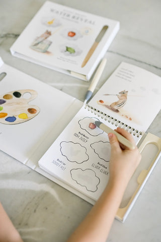 Wishy Washy Reusable Water Reveal Activity Book